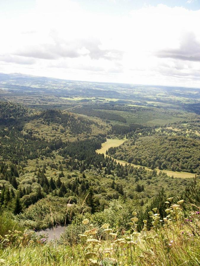 Domaine Des Lilas Saint-Germain-Lembron Eksteriør bilde